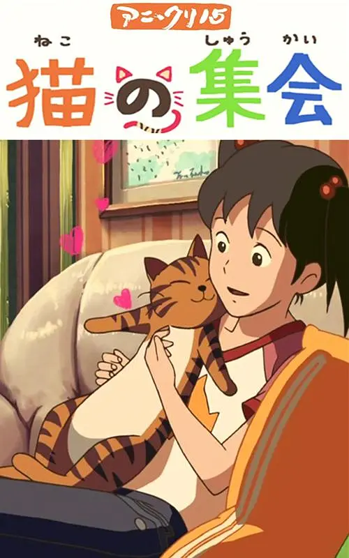 天天操穴