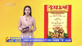 国内精品久久国产